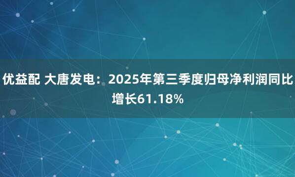 优益配 大唐发电：2025年第三季度归母净利润同比增长61.18%